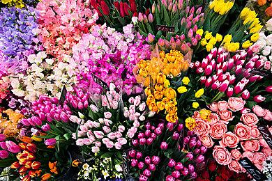 《都市：天际线2》优化是长期工作 贯穿整个游戏生命周期