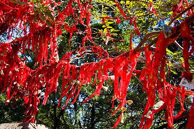 《战争机器：重装上阵》BETA要来 测试多人游戏稳定性