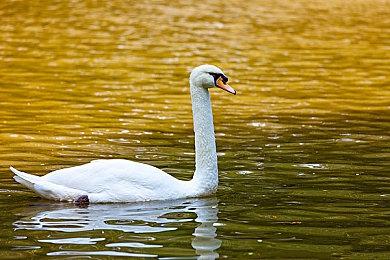 《蓝色反射：帝》10月19日举行售前直播 公布新DLC服装