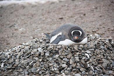 《战地2042》BETA没有的必要功能都会加入到正式版游戏中